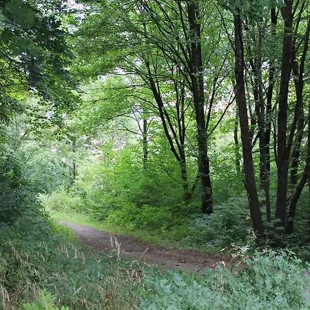 Rössle 3*