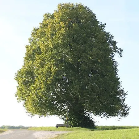 Hotel Roessle Westerheim (Alb-Donau)