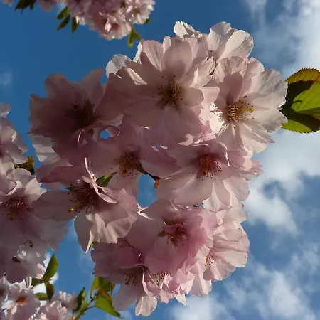 Roessle 3* Westerheim (Alb-Donau)